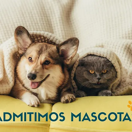 Apartment Reconquista 3000 *