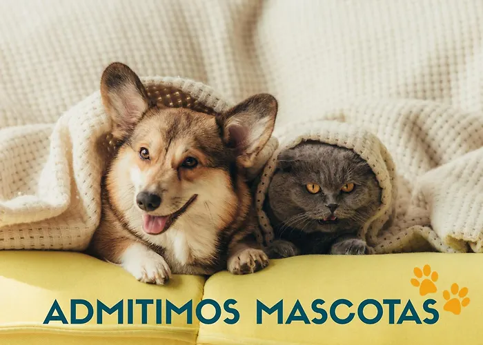 Apartment Reconquista 3000 *